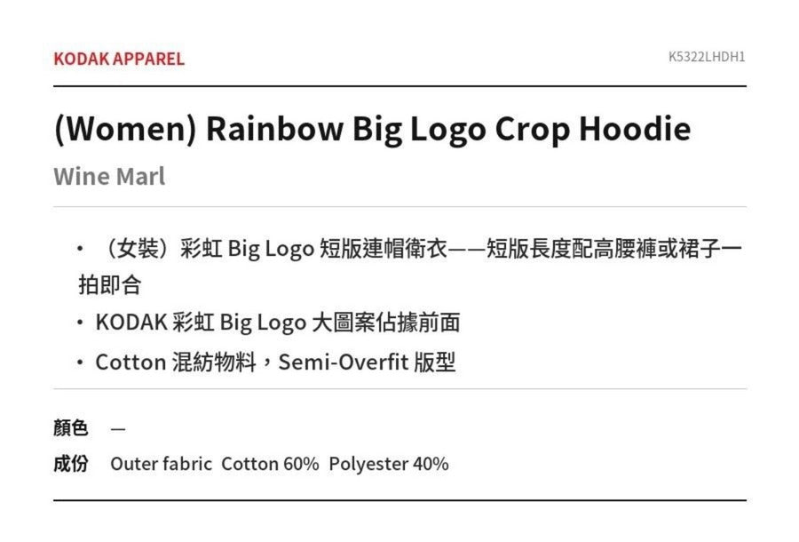 Rainbow Big Logo Hoodie